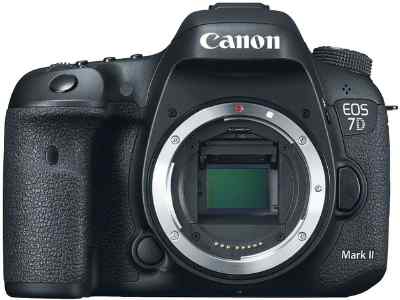 best canon camera 2022