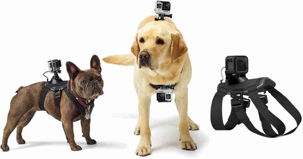 Action camera dog mount strap 2023